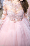 Pink Ball Gown Jewel Long Sleeves Sweep/Brush Train Lace Tulle Evening