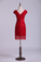 Evening Dresses V-Neck Sheath/Column With Applique & Ribbon Lace