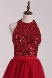 2024 Homecoming Dresses Halter Beaded Bodice Tulle A Line Open Back