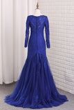 V Neck Long Sleeves Tulle Prom Dresses With Applique