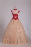 Quinceanera Dresses High Neck Ball Gown Tulle With Applique Sweep