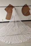 3M Long Tulle Appliques Wedding Veils STB14989