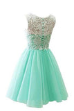 Flower Girl / Adult Ball Gown Lace Short Prom Dress
