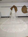 3M Long Embroidered Lace Appliques Tulle Cathedral Veil for Wedding, Wedding Veils STB14988