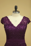 Plus Size Grape Modest Lace Evening Dresses V-Neck Sheath/Column With Applique And Ribbon