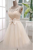 A Line Scoop Tulle & Lace Homecoming Dresses With