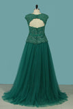 Open Back V Neck With Applique Evening Dresses Tulle &