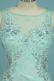 Prom Dresses Mermaid Scoop With Applique And Beads