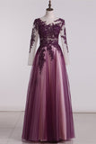 See-Through Prom Dresses Scoop Long Sleeves Tulle With Applique