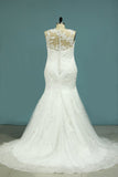 Mermaid Wedding Dresses Tulle Scoop With Applique Covered