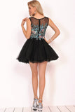 Homecoming Dresses A-Line Scoop Short/Mini Tulle With
