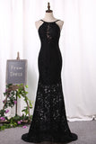 Sexy Sheath Black Prom Dresses Spaghetti Straps Lace