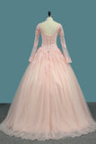 V Neck Quinceanera Dresses Ball Gown Long Sleeves Tulle With