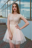 Jewel Neck Lace Top Tulle Cap Sleeves Homecoming