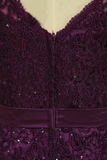 Plus Size Grape Modest Lace Evening Dresses V-Neck Sheath/Column With Applique And Ribbon