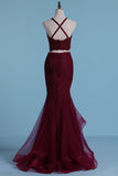 Prom Dresses Spaghetti Straps Tulle & Lace With Applique Two