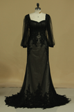 Evening Dresses Long Sleeve Tulle Sheath/Column With Applique Sweep Train