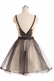 See Through Black Lace Short Dresses A Line V Neck Vintage Homecoming