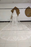3M Long Embroidered Lace Appliques Tulle Cathedral Veil for Wedding, Wedding Veils STB14988