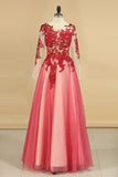 See-Through Prom Dresses Scoop Long Sleeves Tulle With Applique
