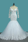 2024 Mermaid Tulle Long Sleeves Off The Shoulder Wedding Dresses With Applique