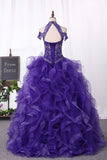 Ball Gown Tulle Quinceanera Dresses High Neck Beaded Bodice Sweep