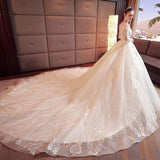 2024 Gorgeous Scoop Lace Appliques Flowers White Organza Long Sleeve Wedding Dresses